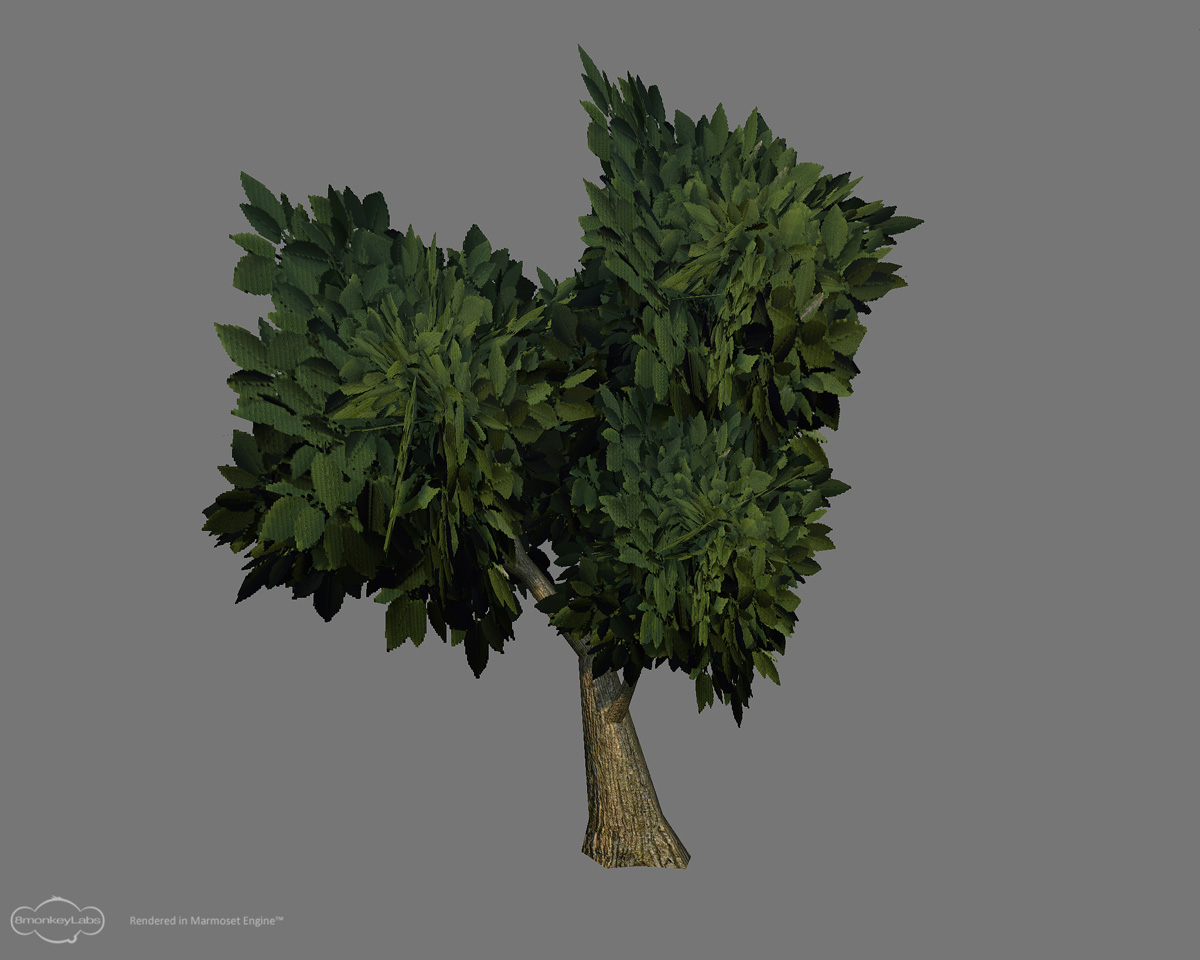Tree01.jpg